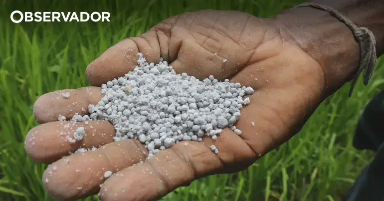 Agricultores de Serpa criticam escalada de preços