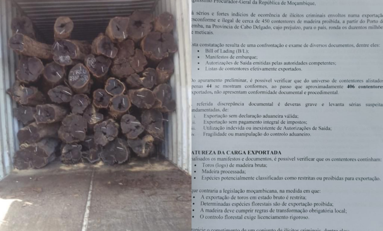 Cerca de 400 contentores de madeira exportados ilegalmente para China e Vietname