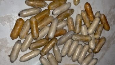 Cinco mulheres detidas por tráfico de drogas em aeroporto de Joanesburgo