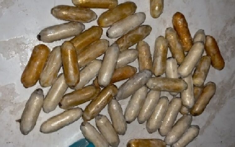 Cinco mulheres detidas por tráfico de drogas em aeroporto de Joanesburgo