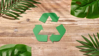 Desperdício alimentar global ultrapassa mil milhões de toneladas por ano