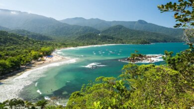 Bela vista da floresta tropical verde e da praia selvagem de água azul em um dia ensolarado, Ilhabela, São Paulo, Brasil