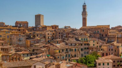 Vista dei tetti e dei campanili di Siena in una giornata di sole senza nuvole