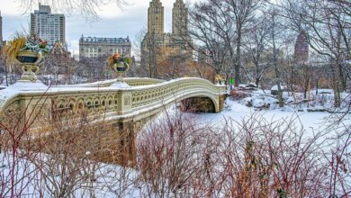 Ponte Bow, no Central Park, em Nova York, no inverno, após uma tempestade de neve
