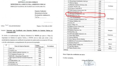 S&M services acusada de extrapolar quotas de exportação de madeira