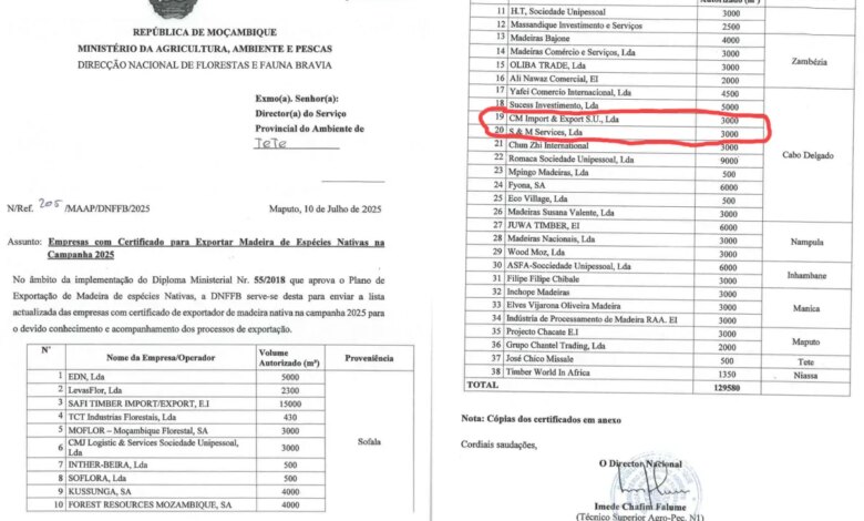 S&M services acusada de extrapolar quotas de exportação de madeira