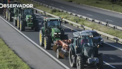 Setores expostos têm apoios mensais de 150 milhões