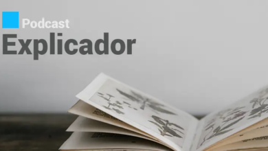 "Preço da carne de porco não deve aumentar para já"