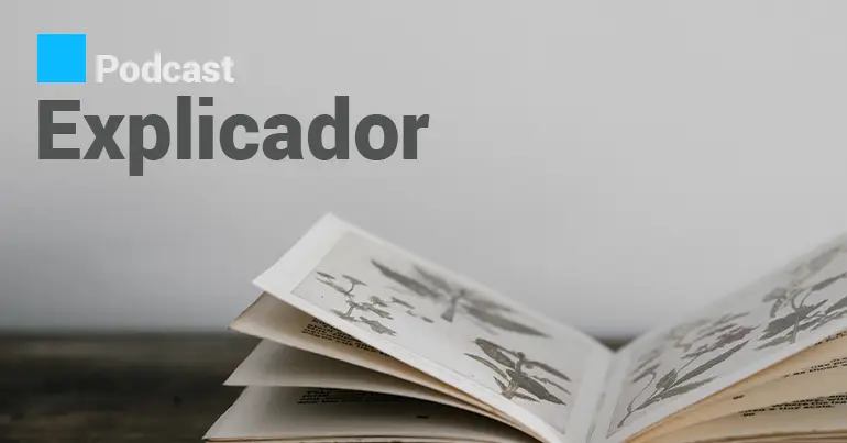 "Preço da carne de porco não deve aumentar para já"