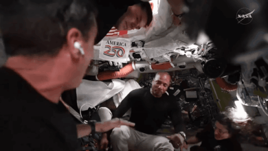 Artemis 2: veja como foi o oitavo dia da missão