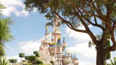 O castelo da Disneyland Paris cheio de pequenas torres e próximo a diversas árvores