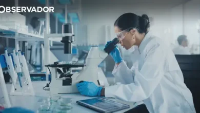 Associação alerta para escassez de médicos do trabalho