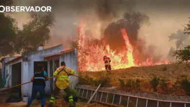 Conselho da UE quer países bem preparados para incêndios