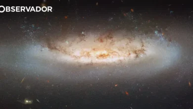 Descobertos planetas mais leves que algodão-doce