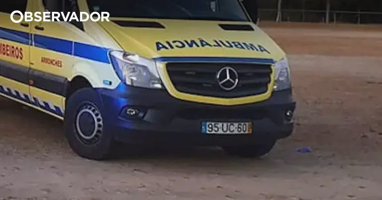 Dois mortos em despiste de carrinha em em Santiago do Cacém