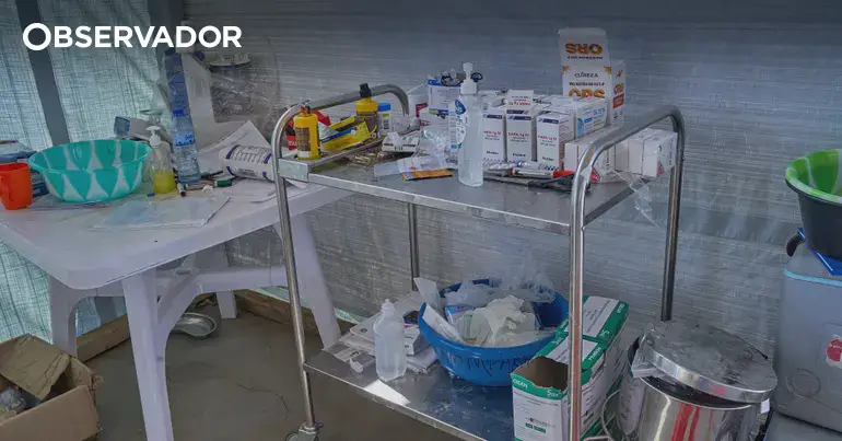 Ébola no Congo: 377 mortos e 1.307 casos