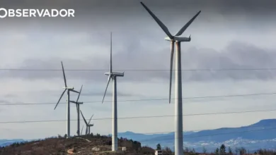 Empresa portuguesa produz óxidos de terras raras quase puros