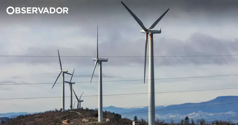 Empresa portuguesa produz óxidos de terras raras quase puros