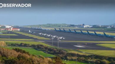 Estudo deteta metais pesados em esqueletos das Lajes