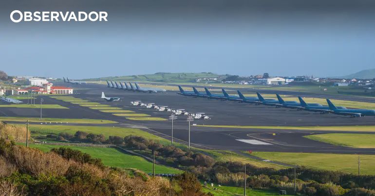 Estudo deteta metais pesados em esqueletos das Lajes