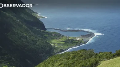 Exclusão dos Açores de apoios agrícolas com impacto