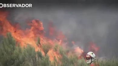 Fogo em Freixo de Espada à Cinta cede aos meios