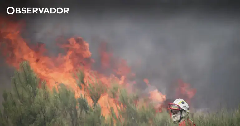 Fogo em Freixo de Espada à Cinta cede aos meios