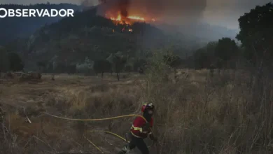 Fogo em Freixo de Espada à Cinta entrou em resolução