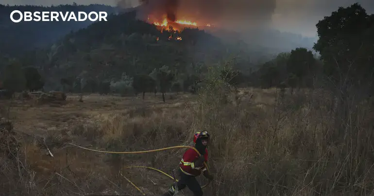 Fogo em Freixo de Espada à Cinta entrou em resolução