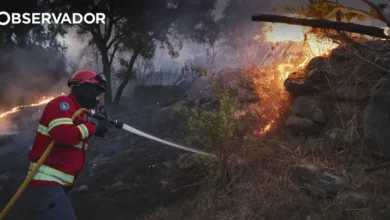 Fogo em Murça mobiliza 206 operacionais e tem duas frentes