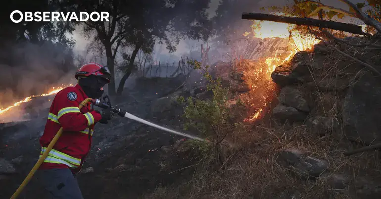 Fogo em Murça mobiliza 206 operacionais e tem duas frentes