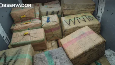 GNR apreende duas embarcações com droga em Setúbal