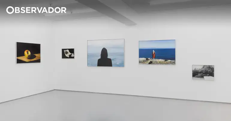 Galeria Vera Cortês em Lisboa encerra ao fim de 23 anos