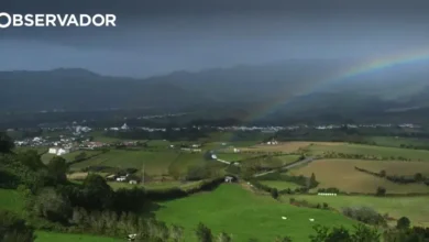 Governo destaca contributo da Santa Casa da Povoação
