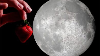 Hoje tem “Lua de Morango” – entenda o motivo do nome
