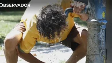IPMA alerta para onda de calor em Portugal por 8 a 10 dias