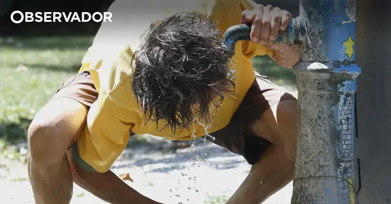 IPMA alerta para onda de calor em Portugal por 8 a 10 dias