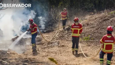 Incêndios: homem constituído arguido por fogo florestal