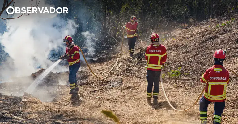 Incêndios: homem constituído arguido por fogo florestal