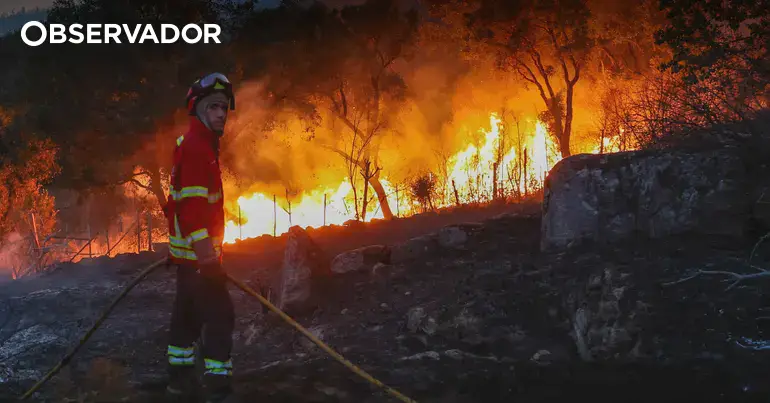 Incêndios: milhares de pessoas trabalham na proteção do país