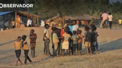 Linha de apoio a criança recebe em média 500 denúncias
