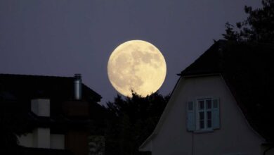 Lua hoje: confira a fase da Lua desta segunda-feira 29/06/2026