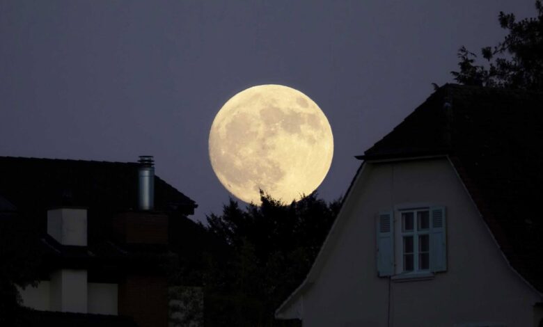Lua hoje: confira a fase da Lua desta segunda-feira 29/06/2026