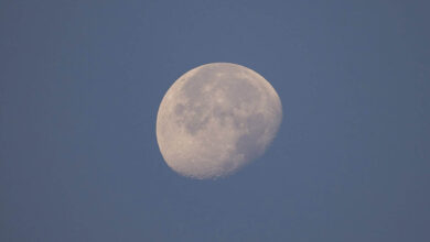 lua