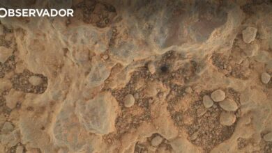Marte terá tido sistemas magnéticos semelhantes aos da Terra
