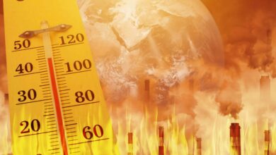 Muito além do termômetro: como o calor extremo paralisa a infraestrutura e a economia da Europa