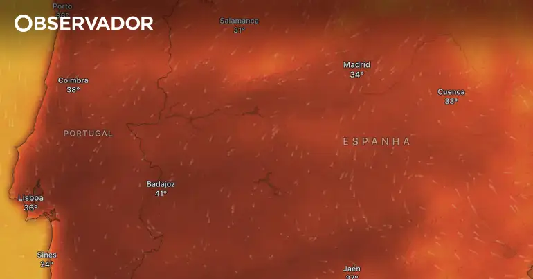 Nova onda de calor na quinta. 40ºC de dia e 26ºC à noite