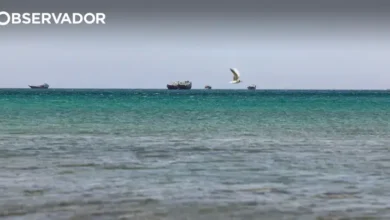 ONU. 115 navios e 2.500 tripulantes retirados de Ormuz