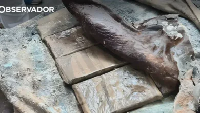 PJ avisa que não facilita nenhuma rota do tráfico de droga