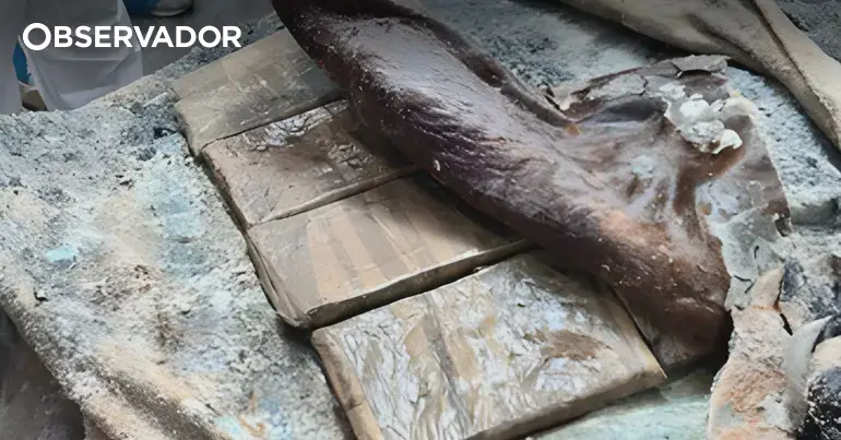PJ avisa que não facilita nenhuma rota do tráfico de droga